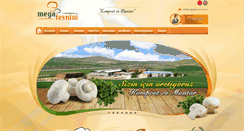 Desktop Screenshot of megatesnim.com