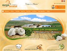 Tablet Screenshot of megatesnim.com